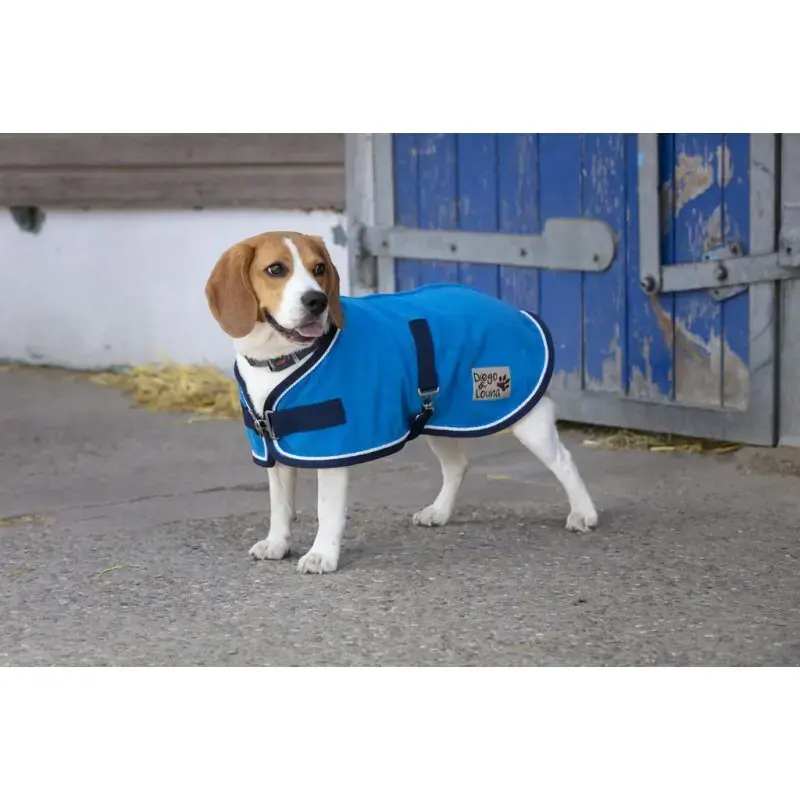 Gratis retur | Hundfilt Diego & Louna Polyfun