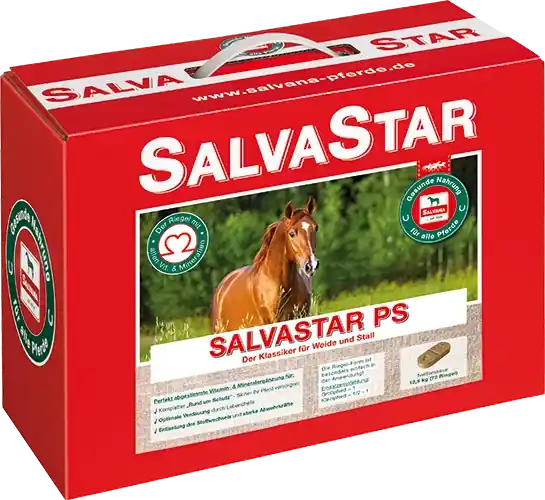 SALVASTAR PS 12,5 KG - Spara nu