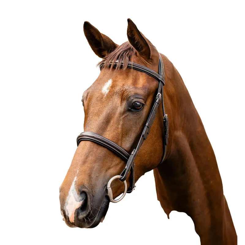 Finns nu | Hästsadel i läder Horseware Hunter