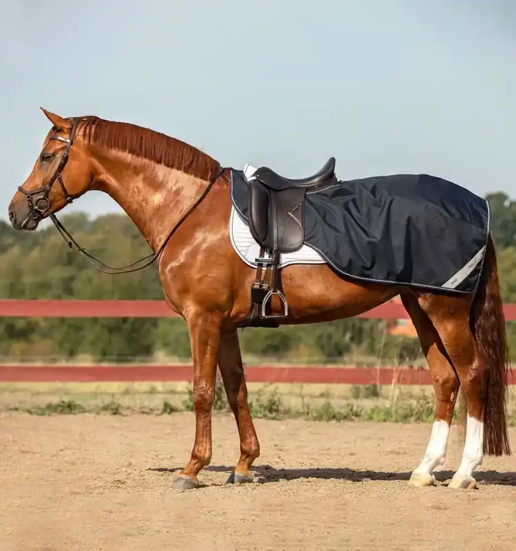 Horseware Amigo Competition Sheet Fig/Navy - Bra pris just nu