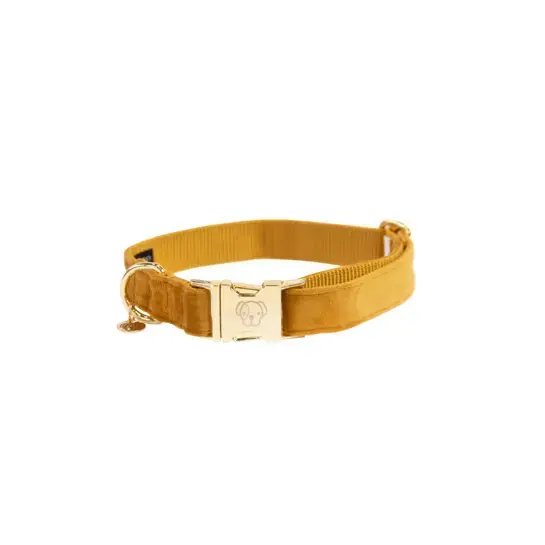 Fabrikspris - Hundhalsband Kentucky Velvet