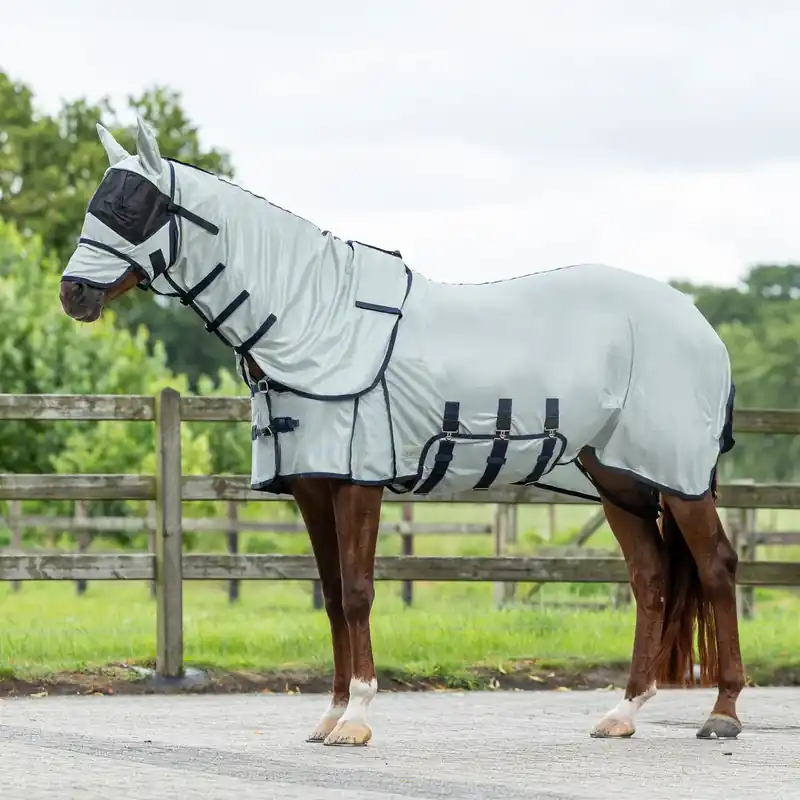 Hästskjorta QHP zebra | Snart slut