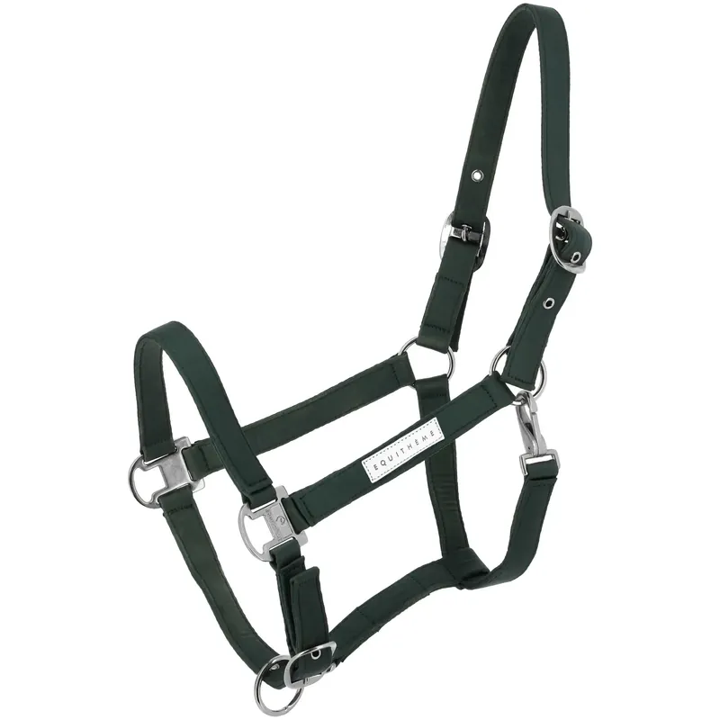 Halster för häst Equithème Opal | Kundfavorit