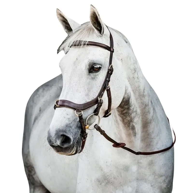 Träns för ridning Horseware Micklem 2 - Handla säkert