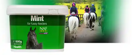 Tillverkarpris - Naf Mint