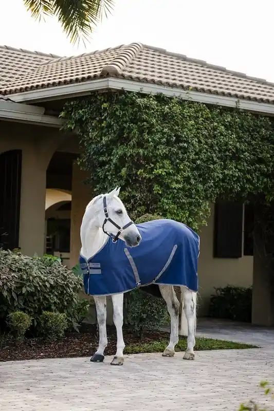Bra pris just nu - RAMBO STABLE SHEET NAVY