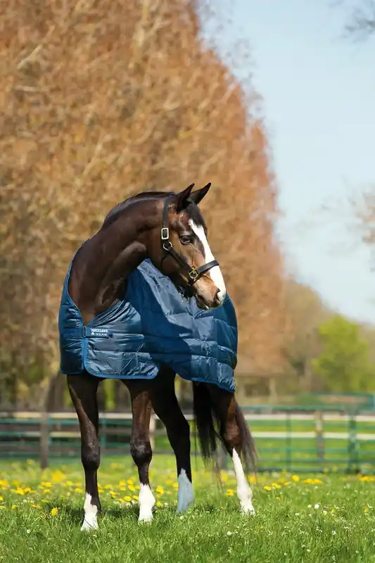 Begränsat lager | Horseware Liner 100g 125 cm
