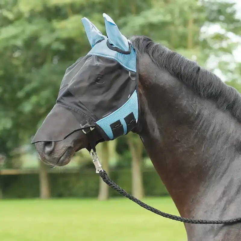 Expressfrakt | Flugmask FLY COVER PRO ljusblå/svart Full